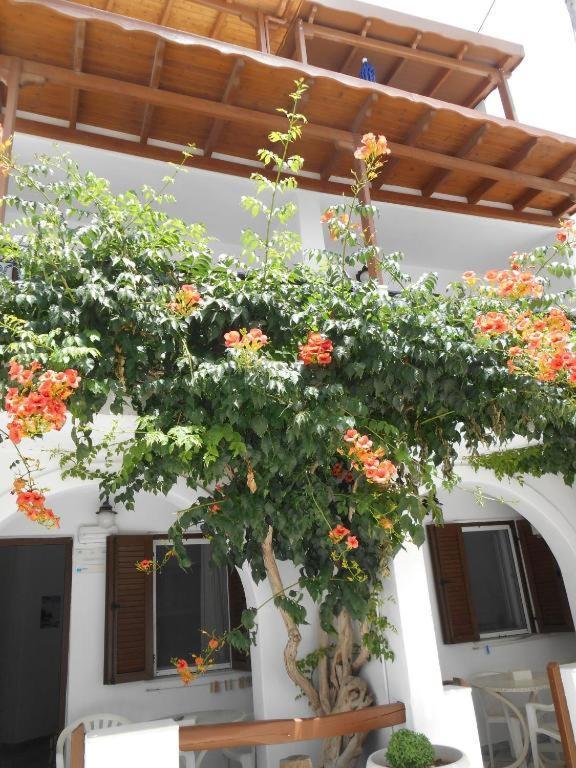 Summerfell Agia Anna  Bagian luar foto